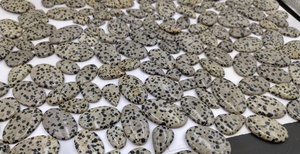 Proveedor Confiable de Jaspe Dálmata Natural en Diversas Formas para Joyería, Directamente del Fabricante - Product Image 2