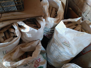 Disponible: Juguete Ecológico para Mascotas, Madera de Árbol de Café, Palo Natural para Masticar, Limpieza Dental, Alivio del Estrés, Sostenible, Tamaño XL - Product Image 4