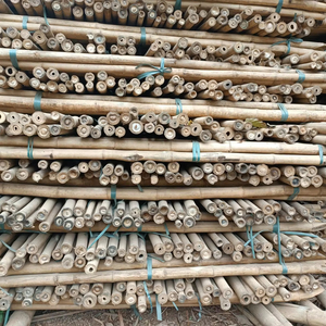 Poteaux en bambou du Vietnam, matière première naturelle pour la construction, la fabrication de meubles, la décoration extérieure, l'aménagement paysager et les utilisations structurelles. - Product Image 1