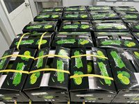 Hoogwaardige Groene Pitloze Citroenen Uit Vietnam Natuurlijk Geteeld Met Een Lange Houdbaarheid, Perfect Voor Export-En Retailmarkten