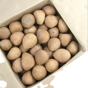 EXPORTACIÓN COCO SECO - Product Image 1