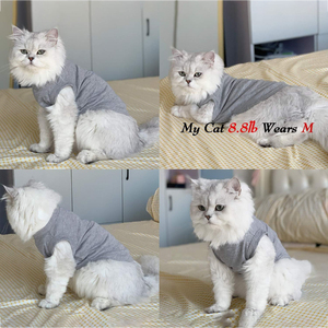 Proveedor Mayorista de Ropa para Mascotas de Alta Calidad, Camiseta de Algodón Suave para Cachorros, Chaleco Duradero para Perros, Ropa Lisa para Gatos, Uso Diario - Product Image 4