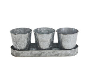 Jardinière galvanisée de haute qualité avec plateau pour la décoration de fleurs de jardin à la maison à prix réduit par le fournisseur indien - Product Image 5