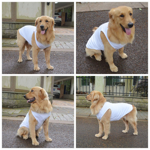 Ropa para Mascotas de Color Sólido, Camiseta Ligera para Perro con Logotipo y Diseño Personalizados, Camiseta Transpirable para Cachorro, Chaleco Suave para Mascotas - Product Image 6