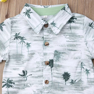 Conjunto de Ropa de Verano de Algodón para Niños, Conjunto de Dos Piezas Informal, Estilo Boutique, Top y Pantalones Cortos a la Moda - Product Image 2