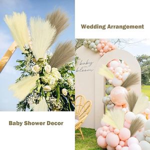 30 Pezzi di Erba della Pampa Artificiale Corta e Soffice da 55 cm, Steli Colorati per Riempimento Vasi e Composizioni Floreali - Product Image 5