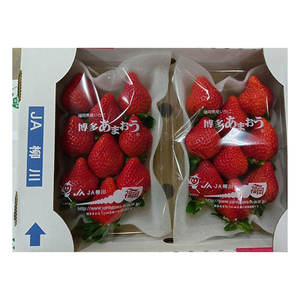 Fresas Japonesas Frescas de Excelente Calidad, Seleccionadas con Rigor - Product Image 1
