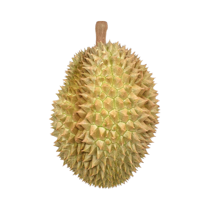 Frozen Whole Malaysia Musang King Durians