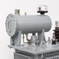 Transformateur immergé dans l'huile hermétique triphasé 250 kVA 11 kV avec sortie 400 V pour la distribution d'énergie industrielle