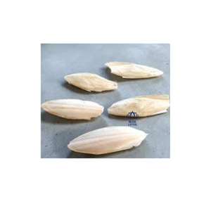 TOP Natural Cuttlefish Bone Calcium Source for Bird Cage Pet Supply Retail Wholesale and Export Supply - Product Image 1