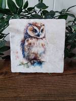 Sous-verres rustiques en marbre motif hibou, cadeau oiseau des bois, pour boissons chaudes et froides