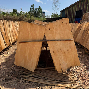 <b>Eucalyptus</b> Rotary Cut Core Veneer Durable & Eco-Friendly 1270mm Length Industrial Design for Plywood Industry - Product Image 1