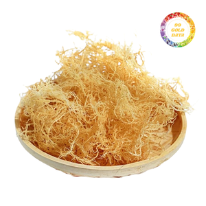 Musgo Marino Dorado de Alta Calidad, Musgo Irlandés Silvestre, Secado al Sol, Precio Económico, Suministro al por Mayor - Product Image 2