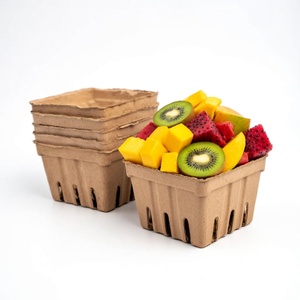 Fruit Packaging Eco-Friendly Anti Break Compostable Molded Pulp Tray Fresh Fruit Tray From Vietnam Manufacturer Paper <b>Boxes</b> - Product Image 2