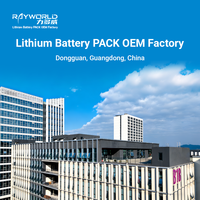Sistem Penyimpanan Energi Rumah Terpasang di Dinding Rayworld 25.6V 100AH 2.56kWh dengan Inverter Surya dan LiFePO4