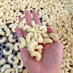 ตัวอย่างเม็ดมะม่วงหิมพานต์ฟรี เม็ดมะม่วงหิมพานต์พร้อมส่ง คัชชูบาดัม ซานติโก - Product Image 3