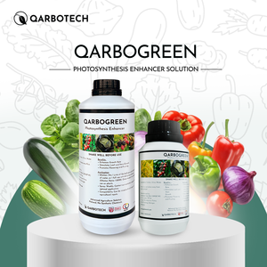 Engrais biologique QARBOGREEN, activateur de photosynthèse liquide, pureté 100 %, pour une croissance agricole à grande échelle et une stimulation de la croissance des cultures - Product Image 5
