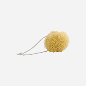 ฟองน้ำ, ผลิตภัณฑ์ดูแลผิวกาย S - Product Image 1