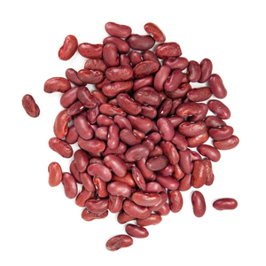 Frijol Rojo Seleccionado con Rico Perfil Nutricional y Calidad Premium para Compradores Internacionales - Product Image 5