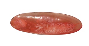 Frutero de Resina Hecho a Mano en India para Uso en el Hogar, Hoteles y Restaurantes, Tazón Blanco de Diseño Creativo, Tazón de Ensalada de Resina Hecho a Mano - Product Image 2