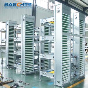 Resistenti gabbie per batterie di pollo in stile H con sistema automatico di cintura per letame nuove condizioni - Product Image 4