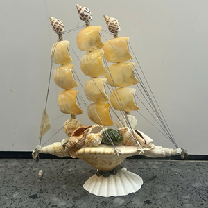 Mezcla de Conchas Marinas Sostenibles de Vietnam para Marcas Ecológicas y Soluciones Duraderas de Diseño de Interiores por 99 Gold Data Co - Product Image 5