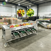 Workshop automatische sorteerapparatuur fruit- en groentesorteermachine