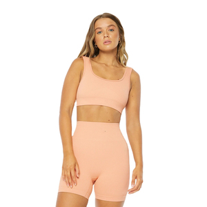 Ensemble de sport 2 pièces pour femme en nylon et élasthanne sans couture, soutien-gorge de sport et short de yoga, haute qualité, personnalisé, vente en gros - Product Image 1