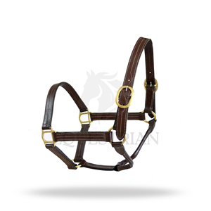 Premium Leather Horse Halter Padded Adjustable Brass <b>Hardware</b> Headcollar - Product Image 3
