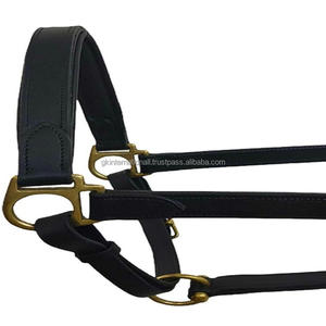 Cabestro de cuero para carreras de caballos, hecho a medida, de alta calidad, ligero, cómodo, acolchado, con herrajes de latón macizo. - Product Image 5