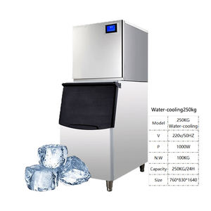Máquina Portátil para Hacer Cubitos de Hielo 220V con Capacidad de 250 kg para Uso Comercial - Product Image 2