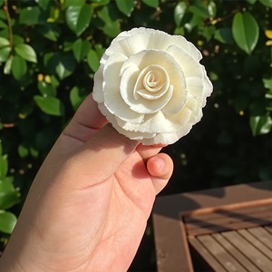 Accessories Aromatherapy 2.4 INC ROSE Bundle Replacement Handmade Dried <b>Reed</b> <b>Diffuser</b> Wood Sola Wood Flower With Custom - Product Image 3