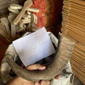 Punta de Cuerno de Búfalo Natural Ecológica, Color Negro Rústico, para Navidad y Año Nuevo Chino - Product Image 1