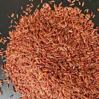 Riz Rouge Dragon Bio Premium, Riz, Rise |   Exportateur vietnamien |   Norme de qualité européenne |   Emballage 1 kg, 5 kg, 10 kg (Joice)