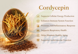 Suministro directo de fábrica HGO de extracto de micelio de Cordyceps natural puro (grado alimenticio) Especificación Cordycepin 10% EXTRACTO DE Cordyceps - Product Image 2