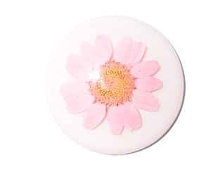 Flor de margarita de Snowland, espécimen real en cabujón de plástico redondo de 38x38 mm, base plana blanca para manualidades y fabricación de joyas - Product Image 2