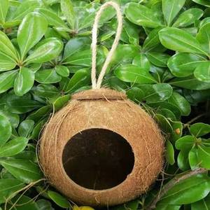 Casa para Pájaros de Cáscara de Coco Directo de Fábrica, Nido de Pájaros Colgante Natural, OEM ODM Disponible - Product Image 1