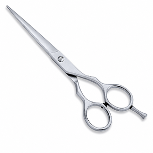 Ciseaux de coiffure en acier inoxydable pour salon de coiffure - Product Image 1