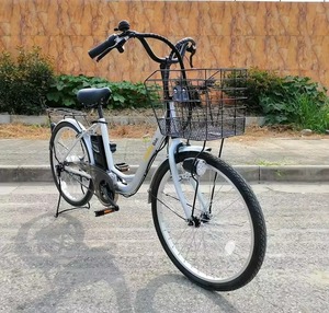 Bicicleta Eléctrica de 24 Pulgadas con Marco de Acero, Motor de 250W, Asistencia al Pedaleo, Velocidad de 25km/h, Bicicleta Eléctrica para Adultos de Venta Rápida - Product Image 3