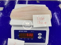 Usine Pangasius Poisson Steak/Basa Poisson Filet Origine Vietnam Pas Cher Prix Grande Taille 500g jusqu'à 1kg Sac pour l'Egypte