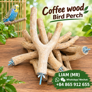 ที่นั่งนกทำจากกิ่งไม้กาแฟธรรมชาติ ทนทาน เป็นมิตรกับสิ่งแวดล้อม มีทั้งแบบกิ่งเดี่ยวและกิ่งคู่ - Liam - Product Image 3