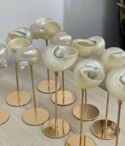 Décoration en verre coquillage vietnamien, accessoire de maison côtière avec accents de coquillages pour la décoration de table, présentoirs de plage, boutiques de cadeaux - Product Image 3