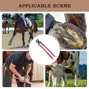 Alicates de Herrador para Cabras y Caballos, Herramientas de Reparación de Herraduras, Cortauñas de Herrador, Suministros y Herramientas para Pezuñas de Vacas - Product Image 5