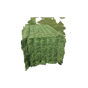 Heno de Alfalfa Premium de Alta Calidad en Cubos y Pellets para Caballos, Perros, Ganado, Cerdos y Peces - Grado Alimenticio 25kg/saco - Product Image 5