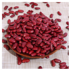 Nuevas Frijoles Rojos de Cosecha a la Venta, Exportador de Frijoles Rojos, Compre Frijoles Rojos al Mejor Precio, Frijoles Rojos Oscuros de Nueva Cosecha - Product Image 5