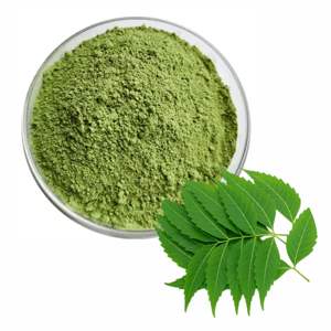 OEM ODM Best Quality Natural Neem Leaf Powder 100% Pure Food Grade Neem Leaf Powder for Supporting Healthy Gut Function - Product Image 5