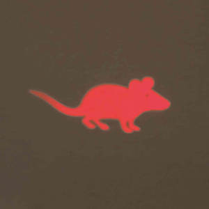 Souris lumineuse LED en plastique de 11 cm avec pointeur laser, jouet interactif pour animaux de compagnie - Product Image 3