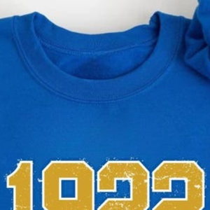 Premium College Varsity <b>Sweatshirt</b> Long Sleeve Crew Neck Pullover Warm Casual Top <b>Retro</b> Fashion Streetwear Clothing for Women - Product Image 2