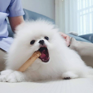 Juguete Masticable para Perros de Madera de Café, con Sonido, Novedoso, Duradero, Natural y Ecológico, para Marcas de Mascotas, Marca Privada - Product Image 2