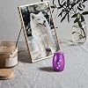 Pet Urn Teardrop Shape Stainless Steel Airtight <b>Dog</b> Memorial - Product Image 3